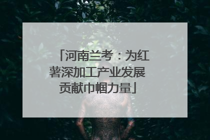 河南兰考：为红薯深加工产业发展贡献巾帼力量
