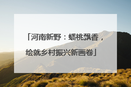 河南新野：蟠桃飘香，绘就乡村振兴新画卷