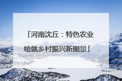 河南沈丘：特色农业绘就乡村振兴新图景