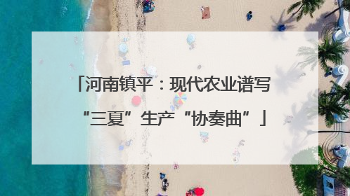 河南镇平：现代农业谱写“三夏”生产“协奏曲”