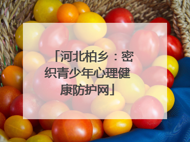 河北柏乡：密织青少年心理健康防护网