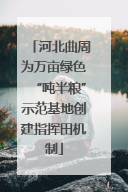 河北曲周为万亩绿色“吨半粮”示范基地创建指挥田机制