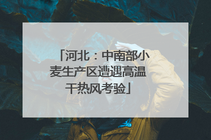 河北：中南部小麦生产区遭遇高温干热风考验