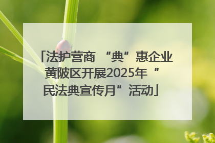 法护营商 “典”惠企业 黄陂区开展2025年“民法典宣传月”活动