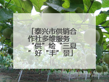 泰兴市供销合作社多维服务 “供”绘“三夏”好“丰”景