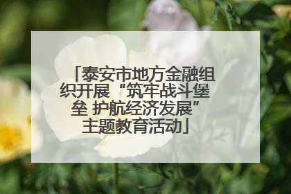 泰安市地方金融组织开展“筑牢战斗堡垒 护航经济发展”主题教育活动