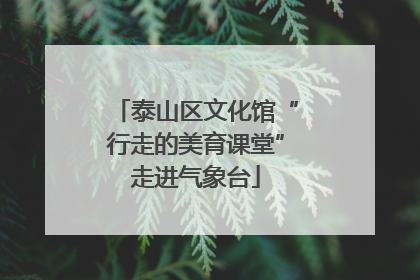 泰山区文化馆“行走的美育课堂”走进气象台