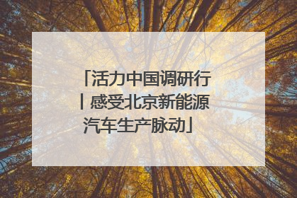 活力中国调研行丨感受北京新能源汽车生产脉动