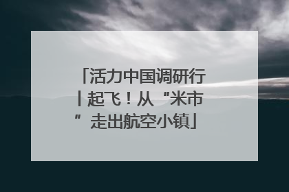活力中国调研行丨起飞！从“米市”走出航空小镇