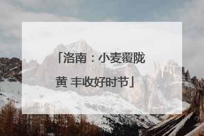 洛南：小麦覆陇黄 丰收好时节