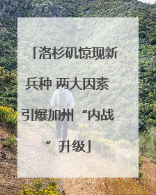 洛杉矶惊现新兵种 两大因素引爆加州“内战”升级
