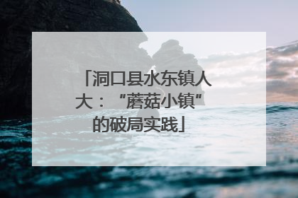 洞口县水东镇人大：“蘑菇小镇”的破局实践