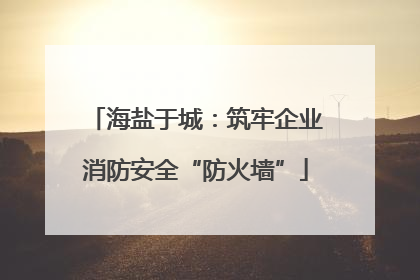 海盐于城：筑牢企业消防安全“防火墙”