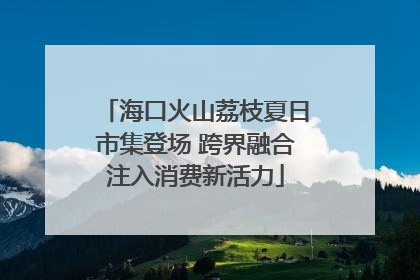 海口火山荔枝夏日市集登场 跨界融合注入消费新活力