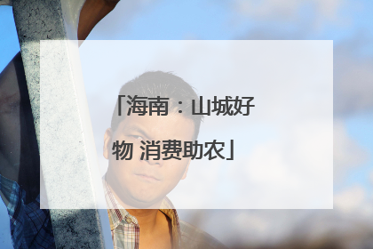 海南：山城好物 消费助农