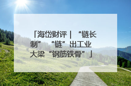 海岱财评｜“链长制” “链”出工业大梁“钢筋铁骨”