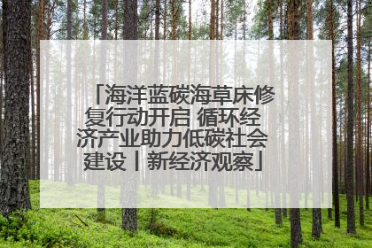 海洋蓝碳海草床修复行动开启 循环经济产业助力低碳社会建设丨新经济观察