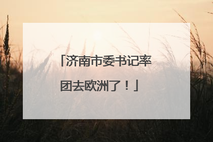 济南市委书记率团去欧洲了！