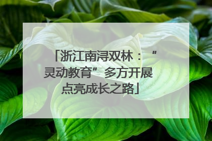 浙江南浔双林：“灵动教育”多方开展 点亮成长之路