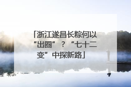 浙江遂昌长粽何以“出圈”？“七十二变”中探新路