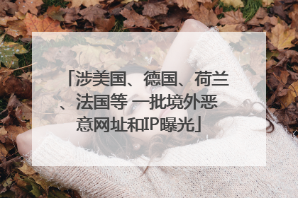 涉美国、德国、荷兰、法国等 一批境外恶意网址和IP曝光
