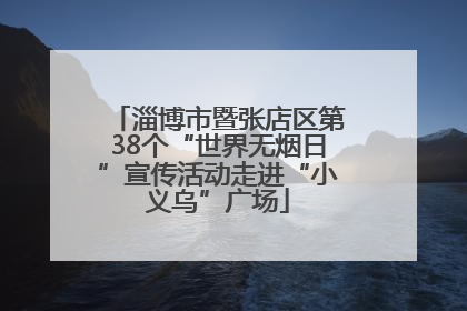 淄博市暨张店区第38个“世界无烟日”宣传活动走进“小义乌”广场