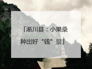 淅川县：小果桑种出好“钱”景