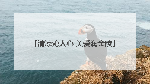 清凉沁人心 关爱润金陵