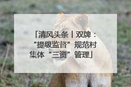 清风头条丨双牌：“提级监督”规范村集体“三资”管理