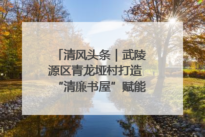 清风头条｜武陵源区青龙垭村打造“清廉书屋”赋能乡村振兴新风尚