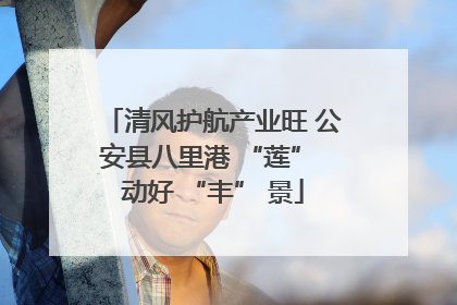 清风护航产业旺 公安县八里港 “莲” 动好 “丰” 景