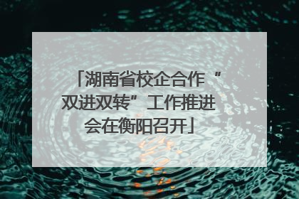湖南省校企合作“双进双转”工作推进会在衡阳召开