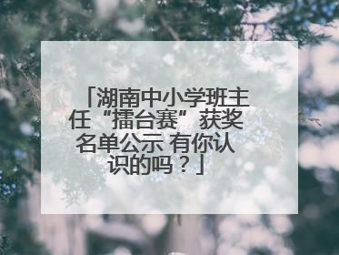 湖南中小学班主任“擂台赛”获奖名单公示 有你认识的吗？