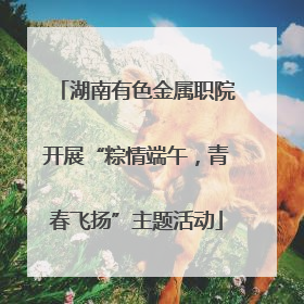 湖南有色金属职院开展“粽情端午，青春飞扬”主题活动