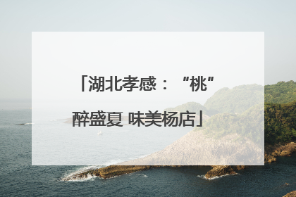 湖北孝感：“桃”醉盛夏 味美杨店