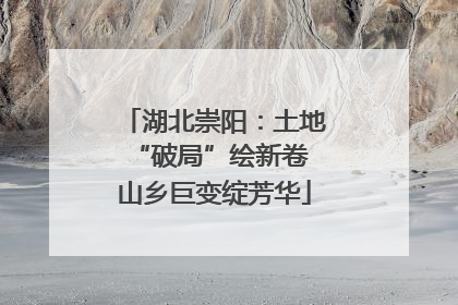 湖北崇阳：土地“破局”绘新卷 山乡巨变绽芳华