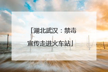 湖北武汉：禁毒宣传走进火车站