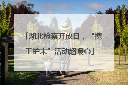 湖北检察开放日，“携手护未”活动超暖心