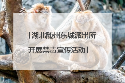 湖北随州东城派出所开展禁毒宣传活动
