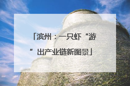 滨州：一只虾“游”出产业链新图景