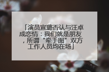 演员宣璐否认与汪卓成恋情：我们就是朋友，所谓“牵手图”双方工作人员均在场