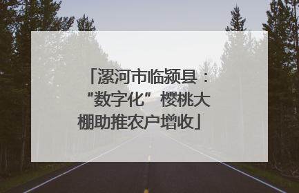 漯河市临颍县：“数字化”樱桃大棚助推农户增收