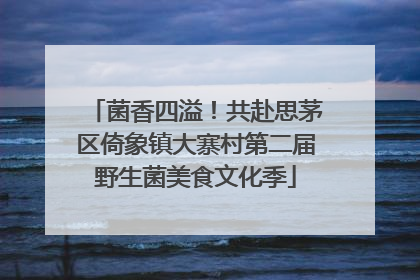 菌香四溢！共赴思茅区倚象镇大寨村第二届野生菌美食文化季