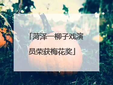 菏泽一柳子戏演员荣获梅花奖