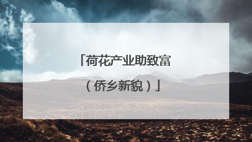 荷花产业助致富（侨乡新貌）