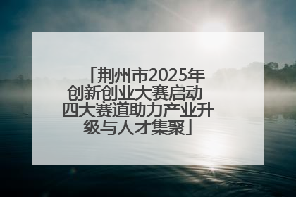 荆州市2025年创新创业大赛启动 四大赛道助力产业升级与人才集聚
