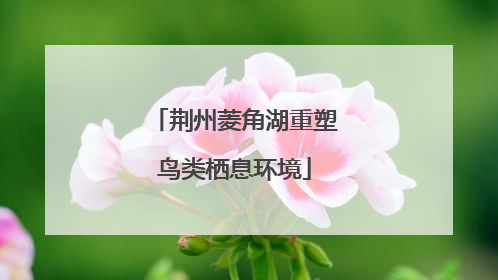 荆州菱角湖重塑鸟类栖息环境