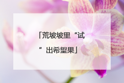 荒坡坡里“试”出希望果