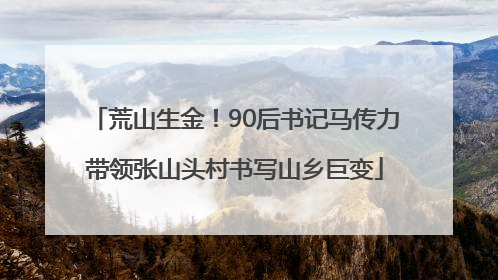 荒山生金！90后书记马传力带领张山头村书写山乡巨变
