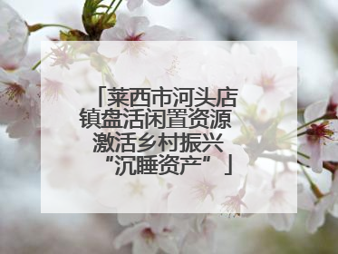 莱西市河头店镇盘活闲置资源 激活乡村振兴“沉睡资产”